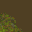 terrain_swampshore3_1.gif